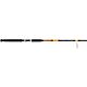 Ugly Stik Bigwater Boat SPIN Spinning Rod                                                                                        - view number 1 selected