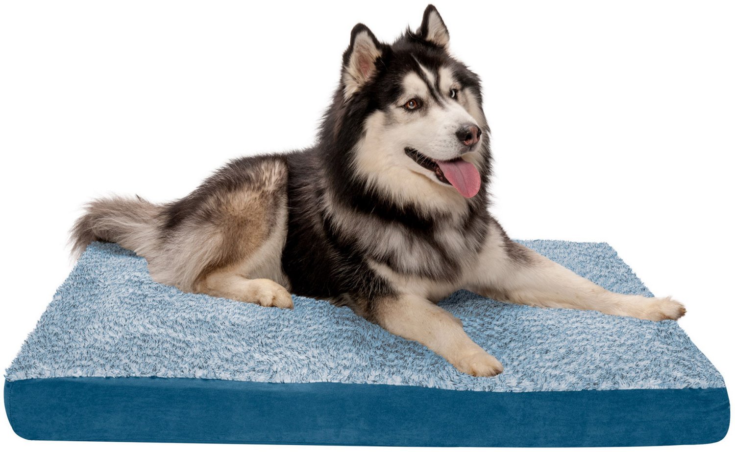 Furhaven deluxe orthopedic pet bed best sale