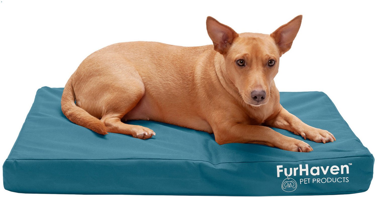 Furhaven deluxe orthopedic pet bed best sale