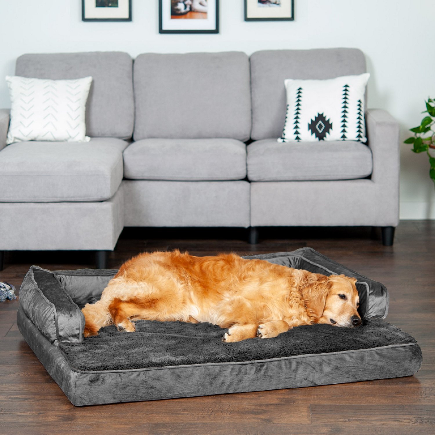 FurHaven Plush Velvet Comfy Couch Orthopedic Jumbo Sofa Pet Bed - view number 3