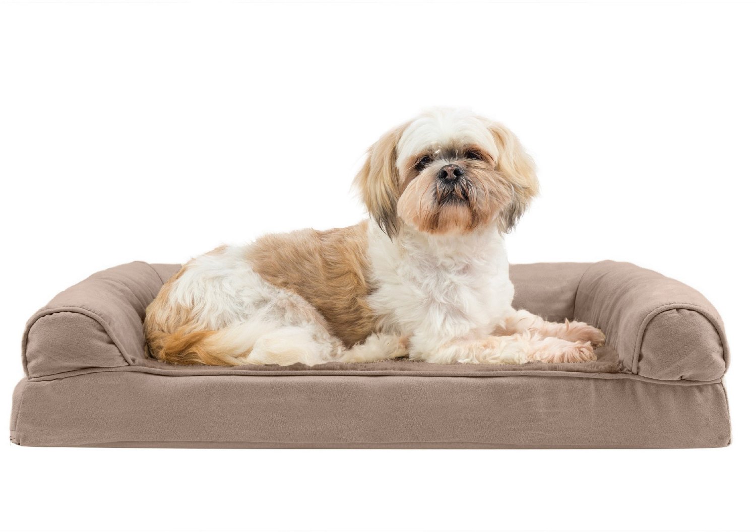 Dog beds at academy best sale