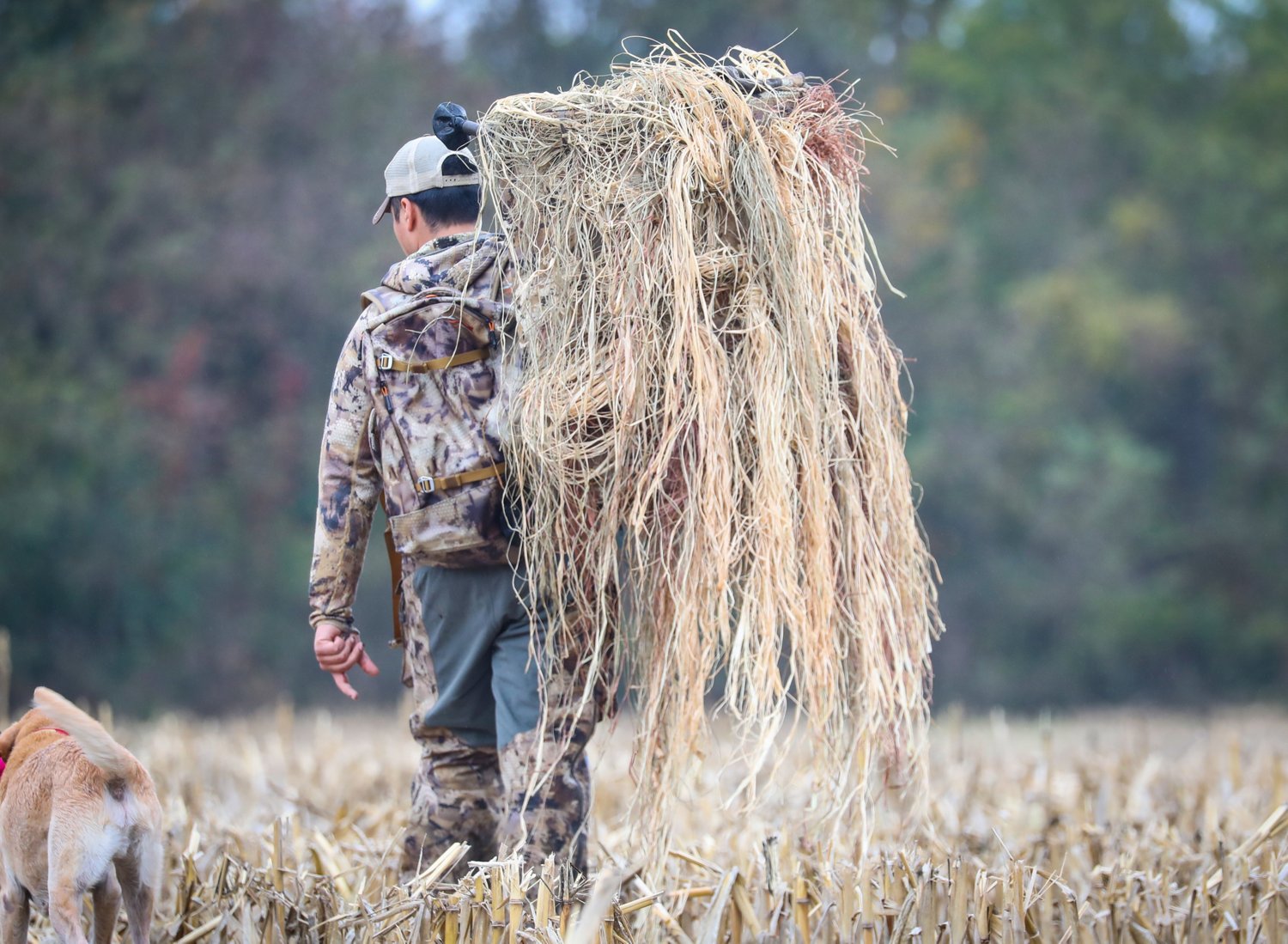 MOmarsh 5 lb Invisigrass  - view number 2