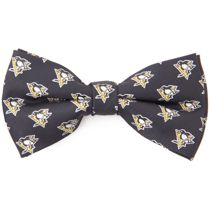 Eagles Wings Pittsb… - image