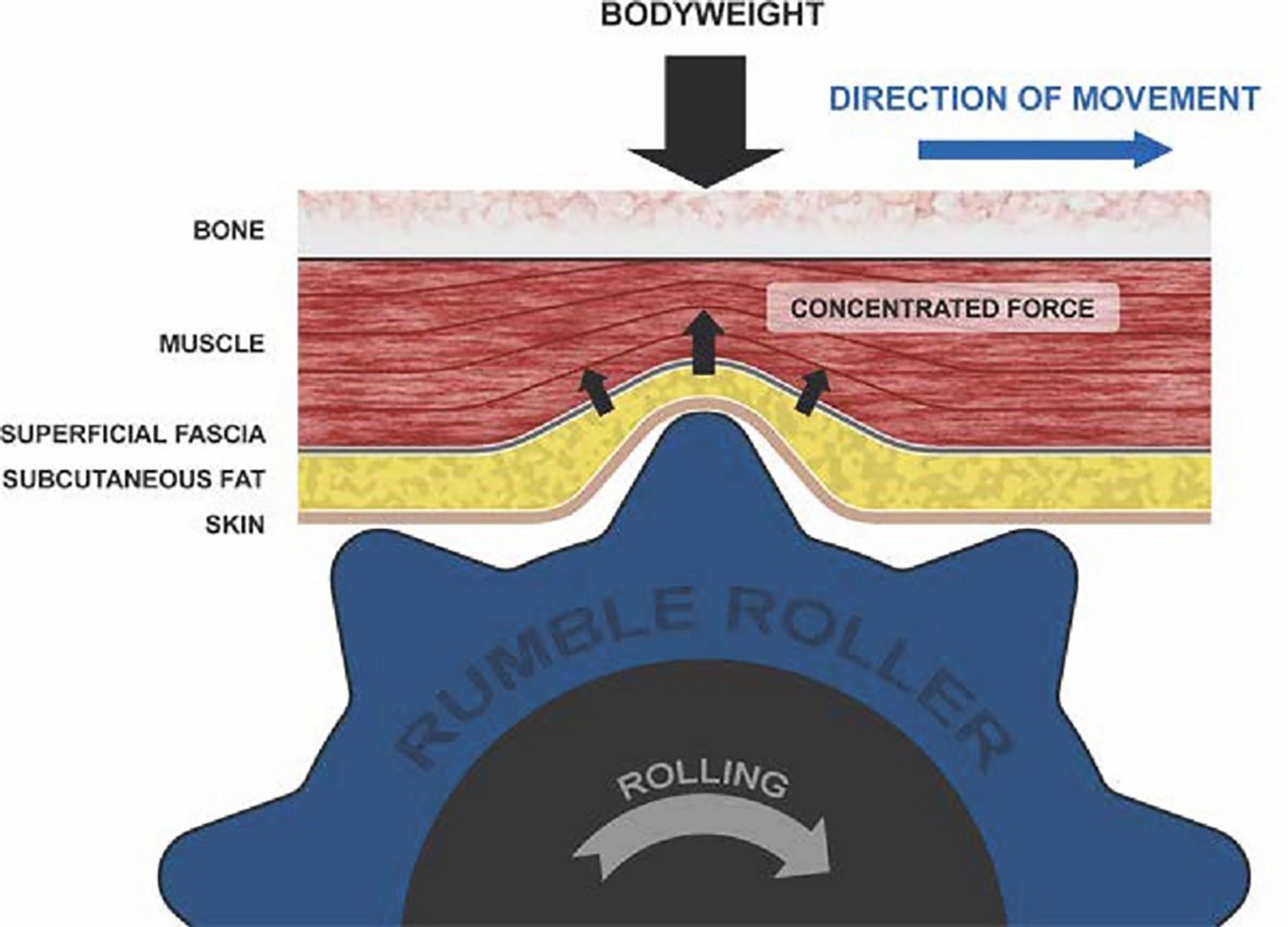 RumbleRoller Firm Deep Tissue Foam Roller Academy
