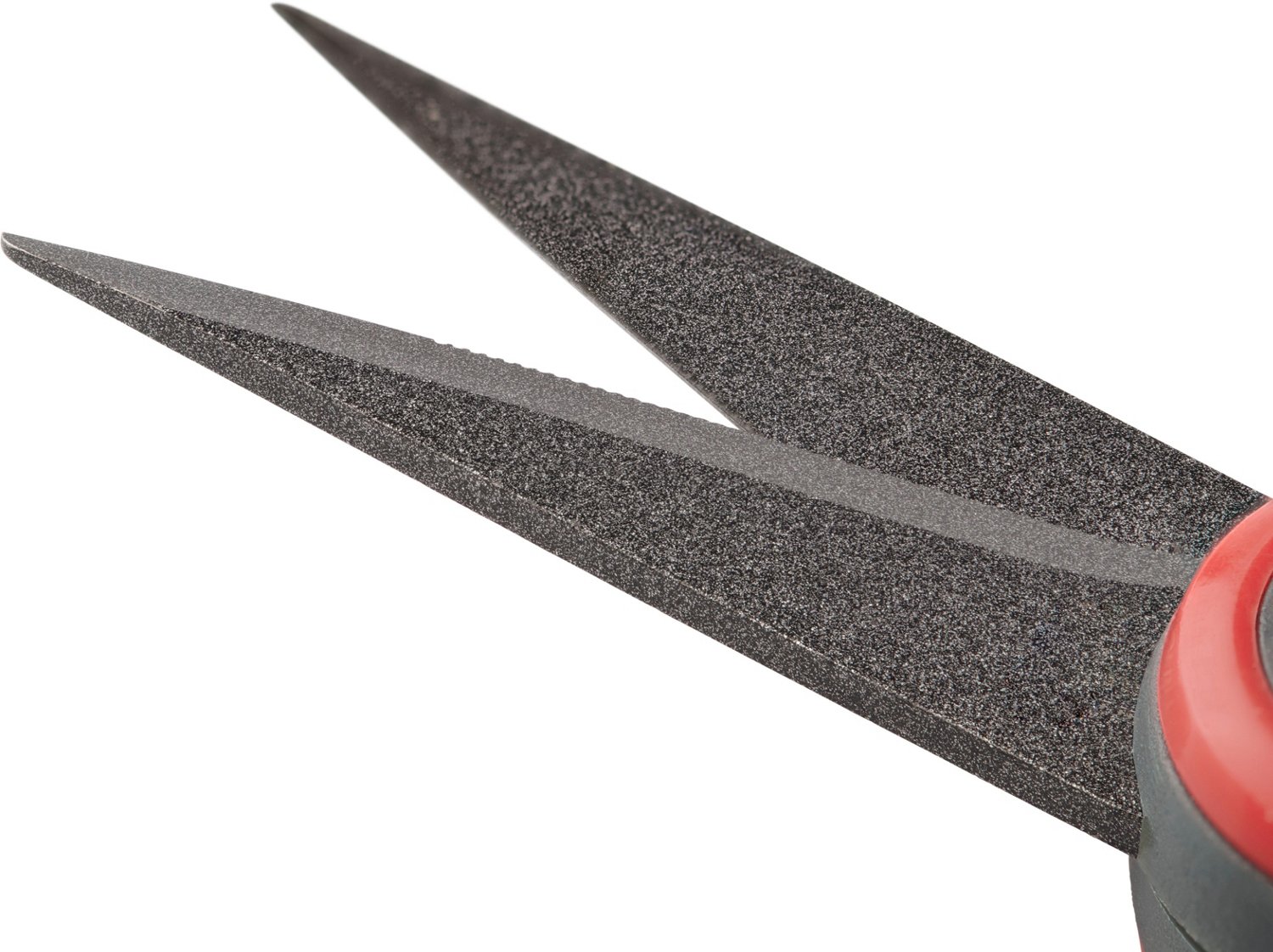 Berkley 5.5 in XCD Scissors                                                                                                      - view number 4