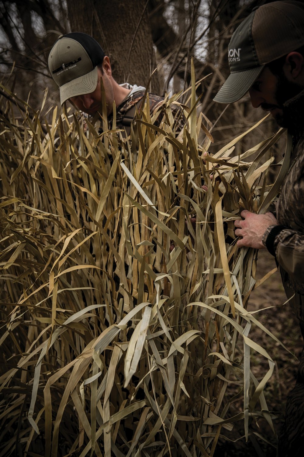 Duck Blind Grass 