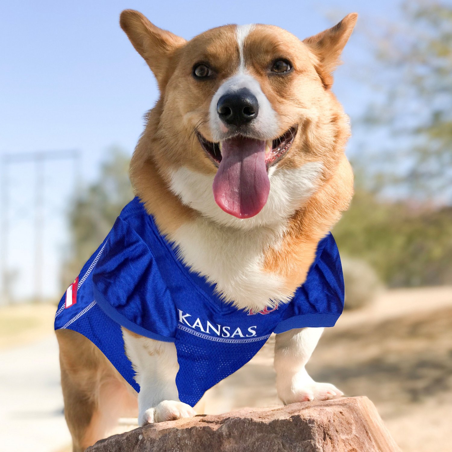 Pets First University of Kansas Mesh Dog Jersey - view number 3