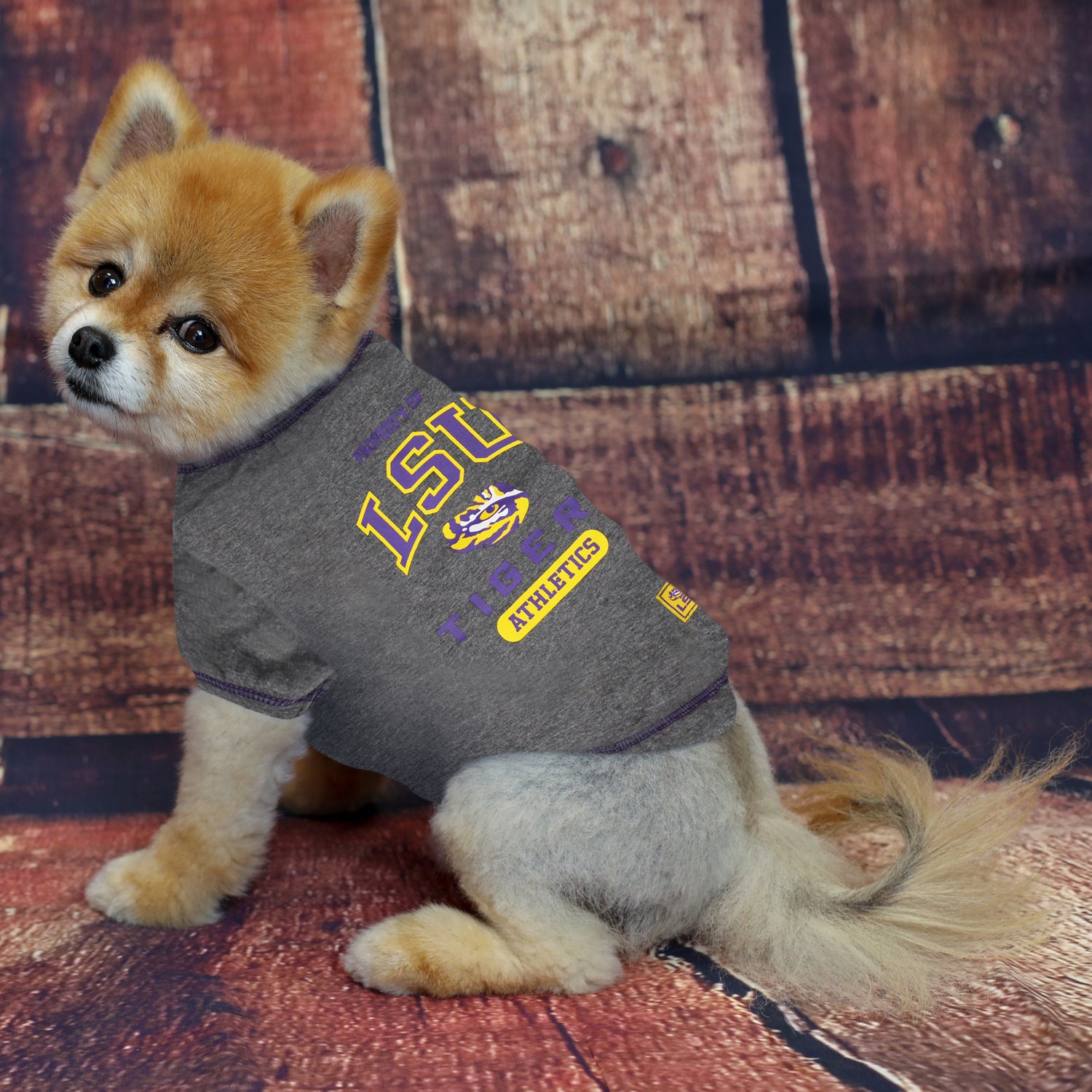 Lsu clearance dog clothes