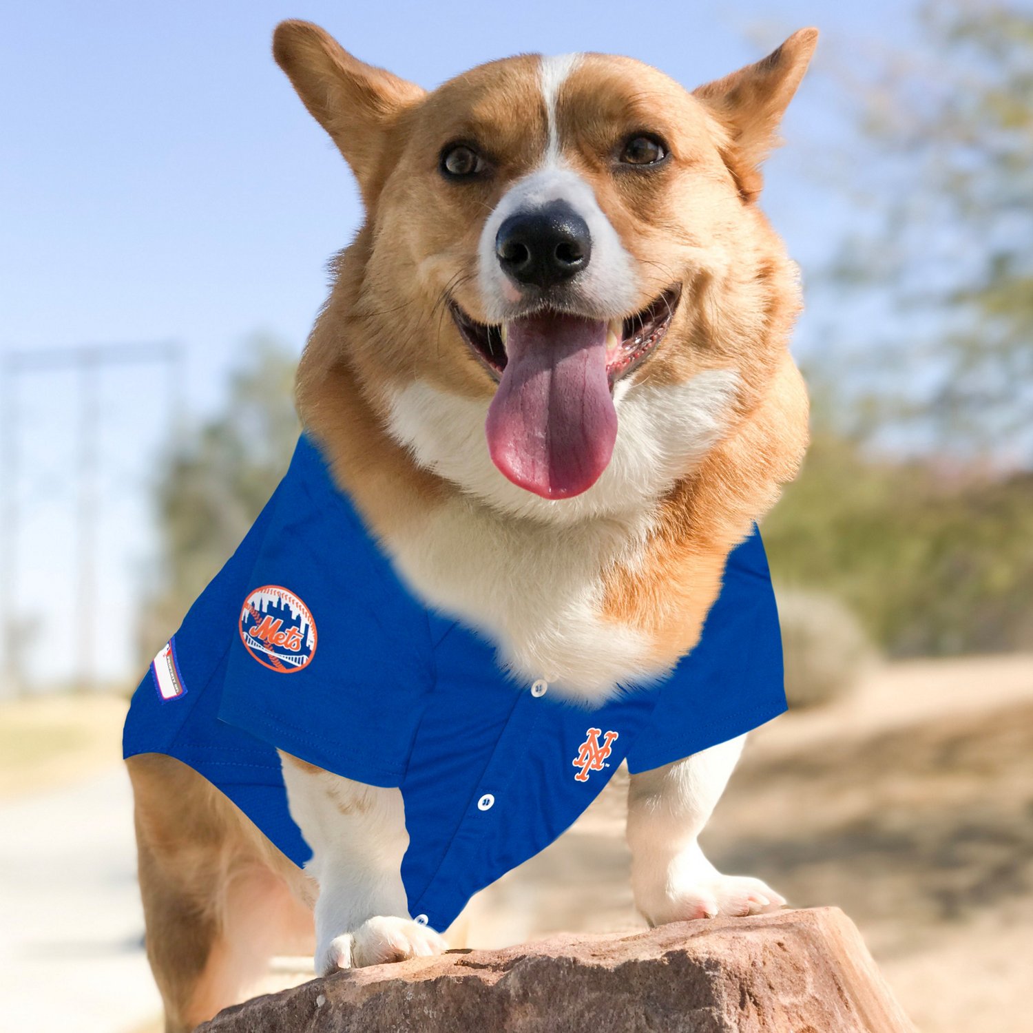 New York Pink Mets Pets First MLB Dog & Cat Baseball Jersey for your g –  American Pet Place