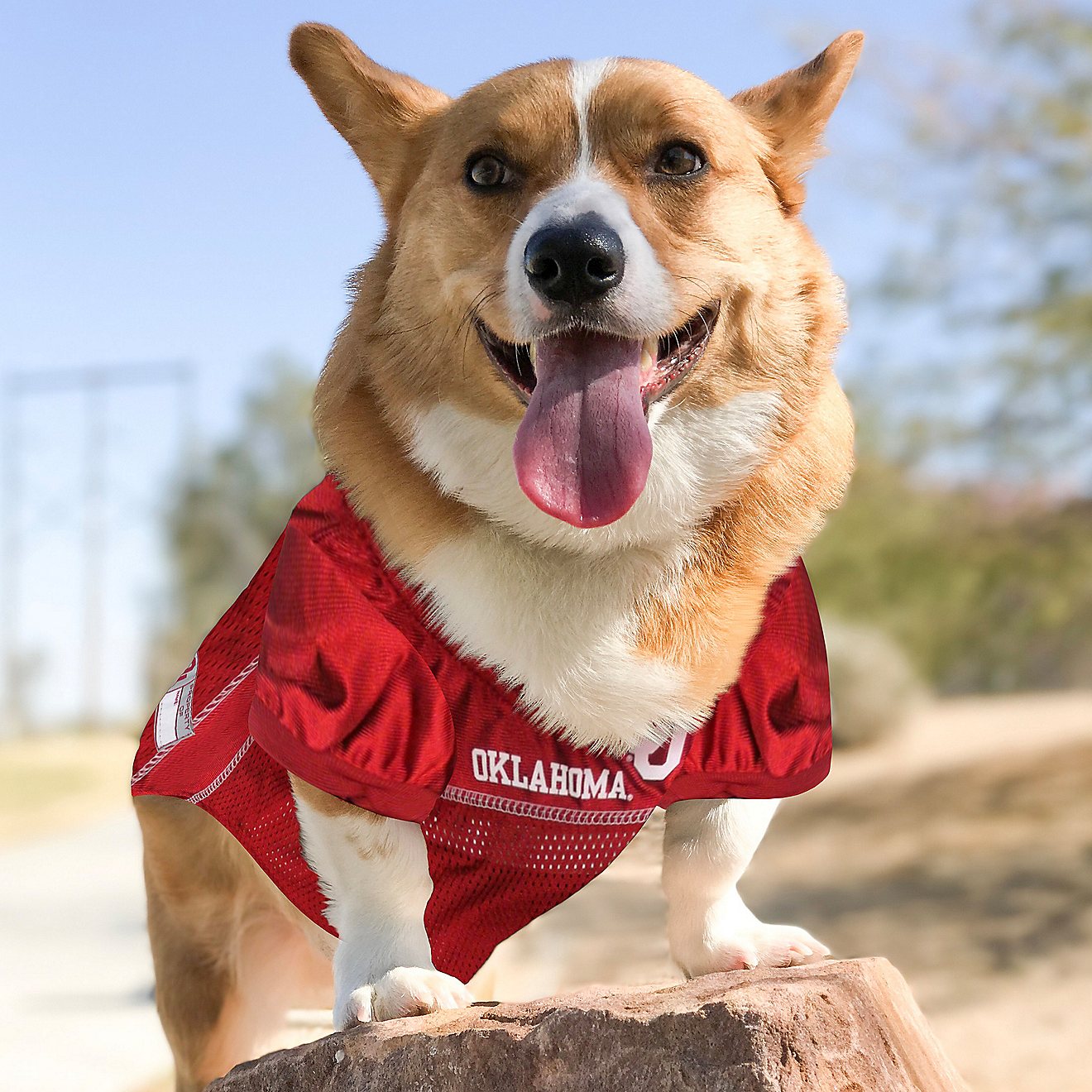 Pets First University of Oklahoma Mesh Dog Jersey                                                                                - view number 3