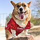 Pets First University of Oklahoma Mesh Dog Jersey                                                                                - view number 3 image