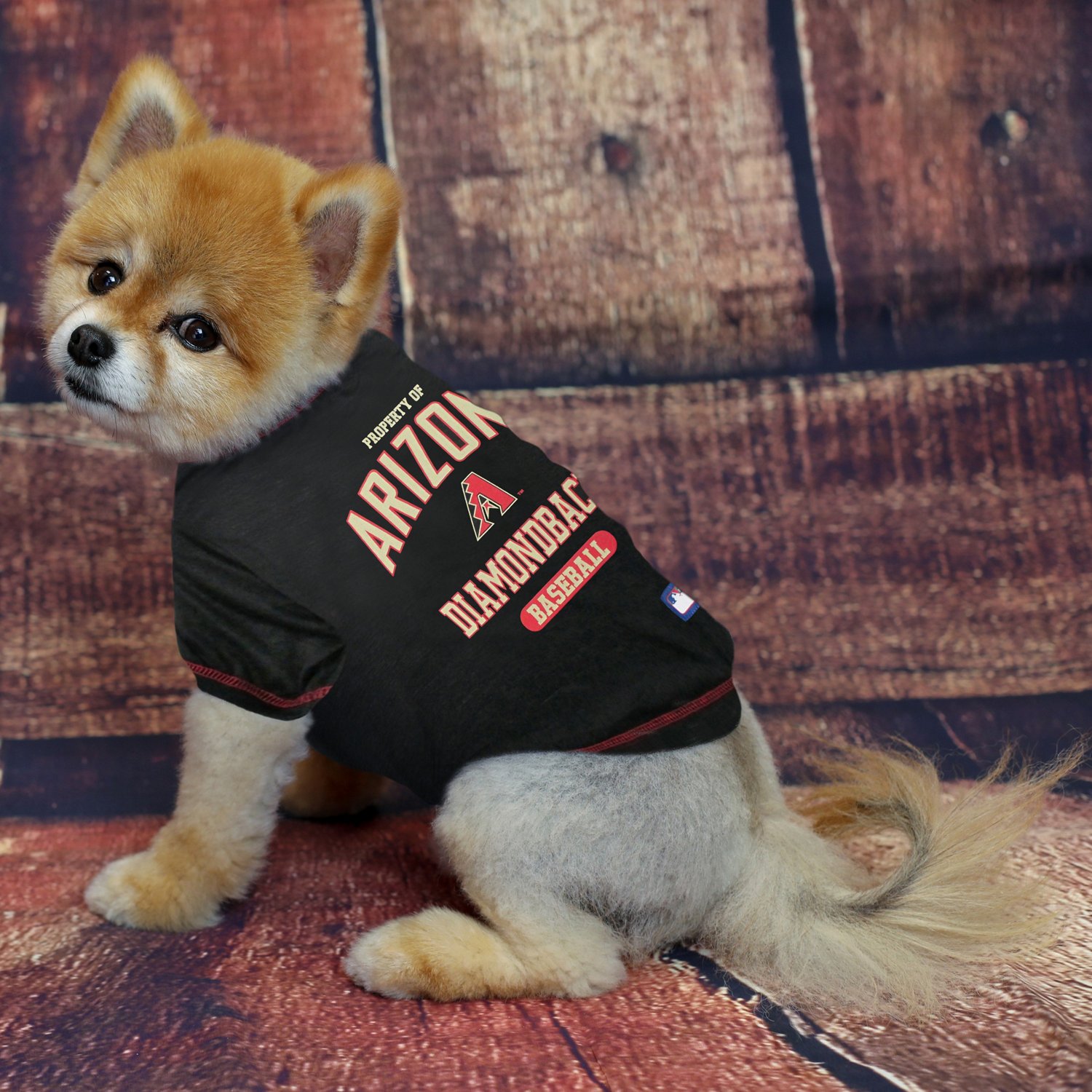 Arizona Diamondbacks Pet T-Shirt