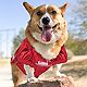 Pets First University of Alabama Mesh Dog Jersey                                                                                 - view number 3