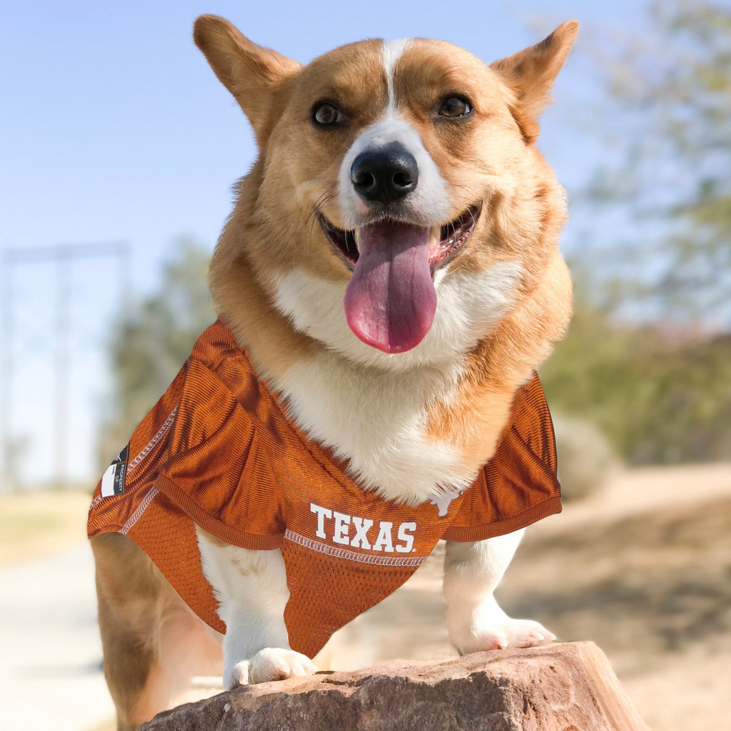 Pets First University of Texas Mesh Dog Jersey - view number 3
