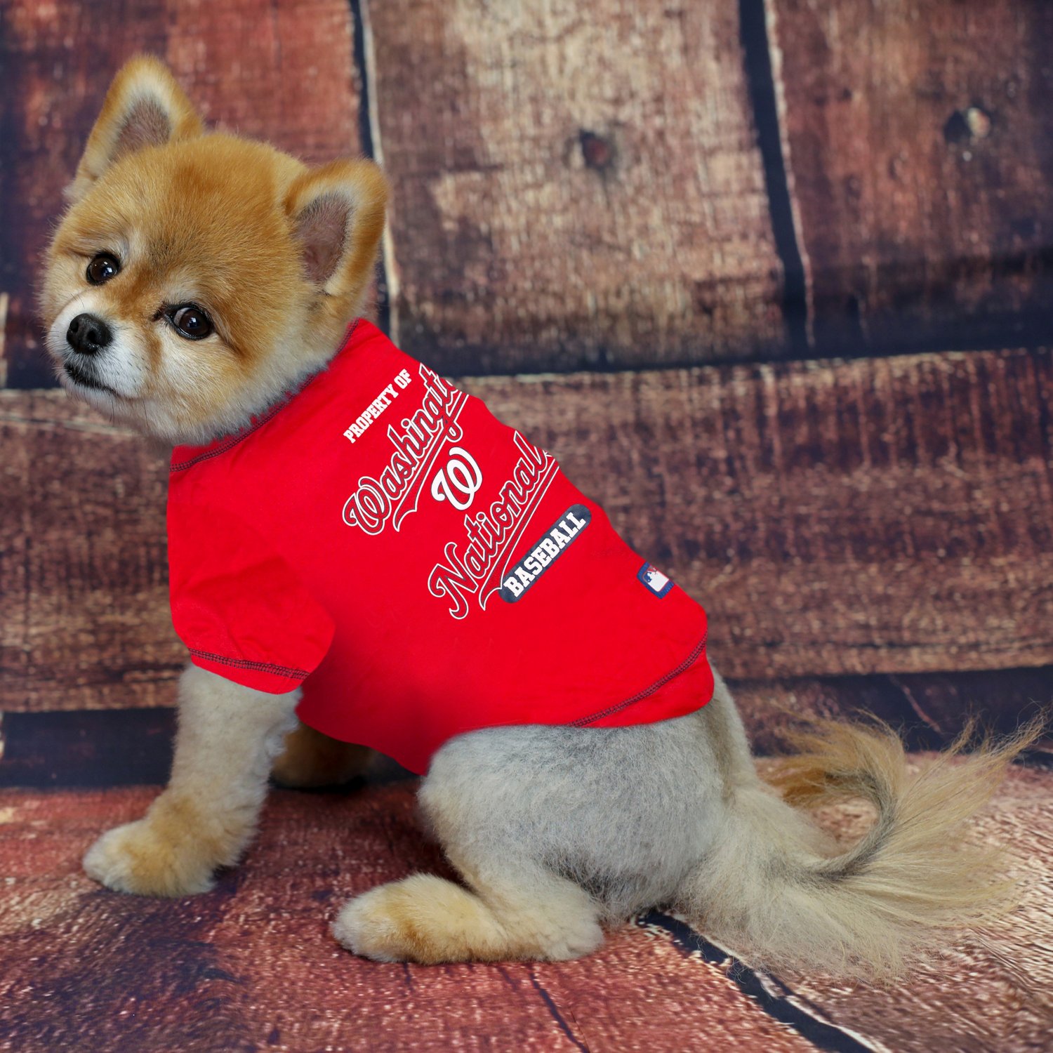 Pets First Washington Nationals Dog T-shirt  - view number 2