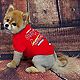 Pets First St. Louis Cardinals Dog T-shirt                                                                                       - view number 2