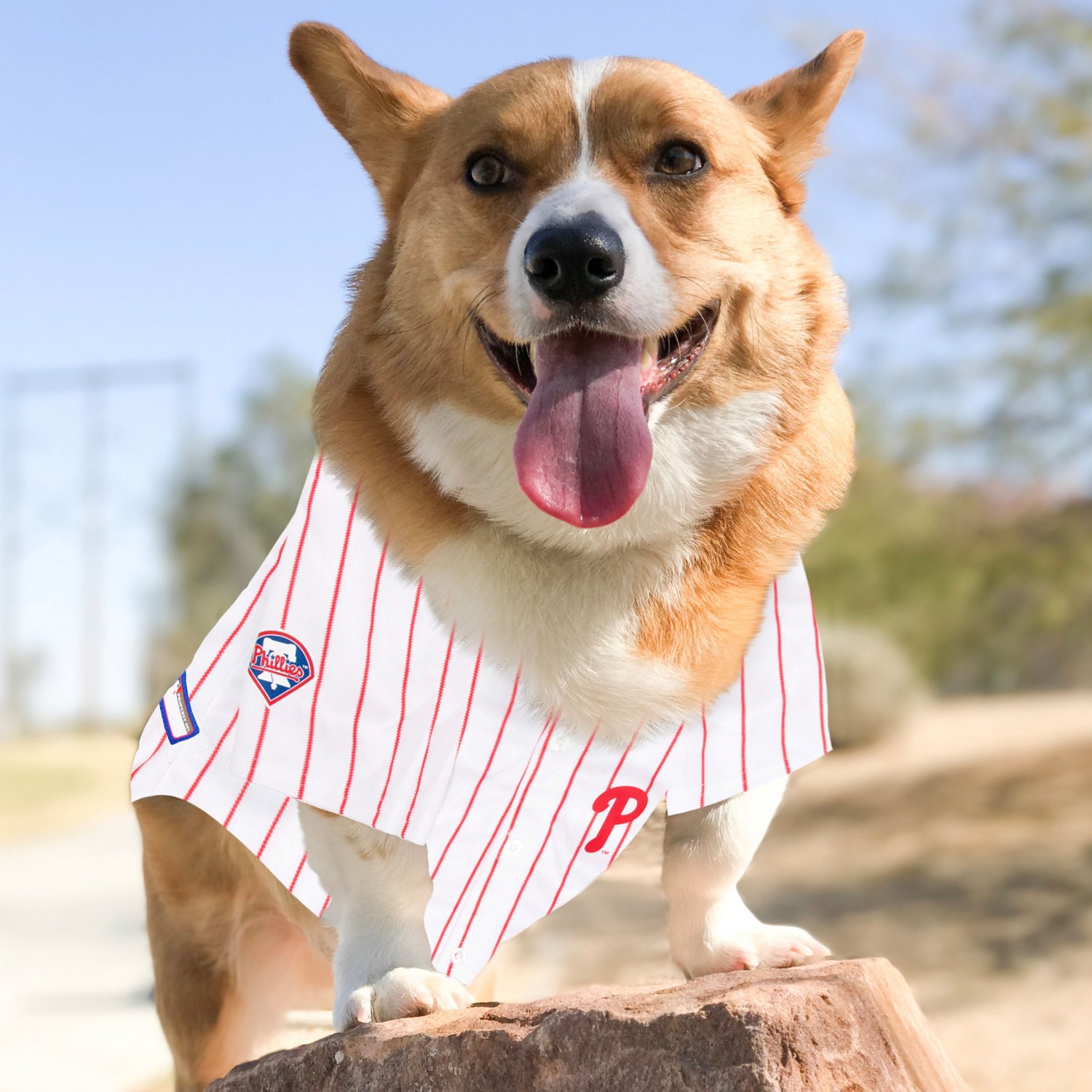 Pets First Philadelphia Phillies Mesh Dog Jersey Academy