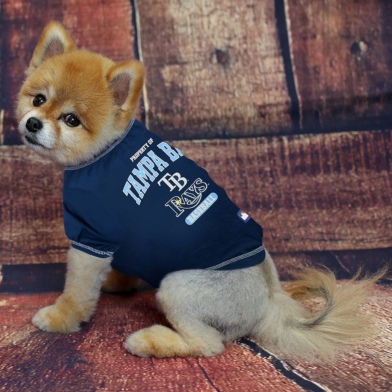 Pets First Tampa Bay Rays Dog T-shirt                                                                                            - view number 2