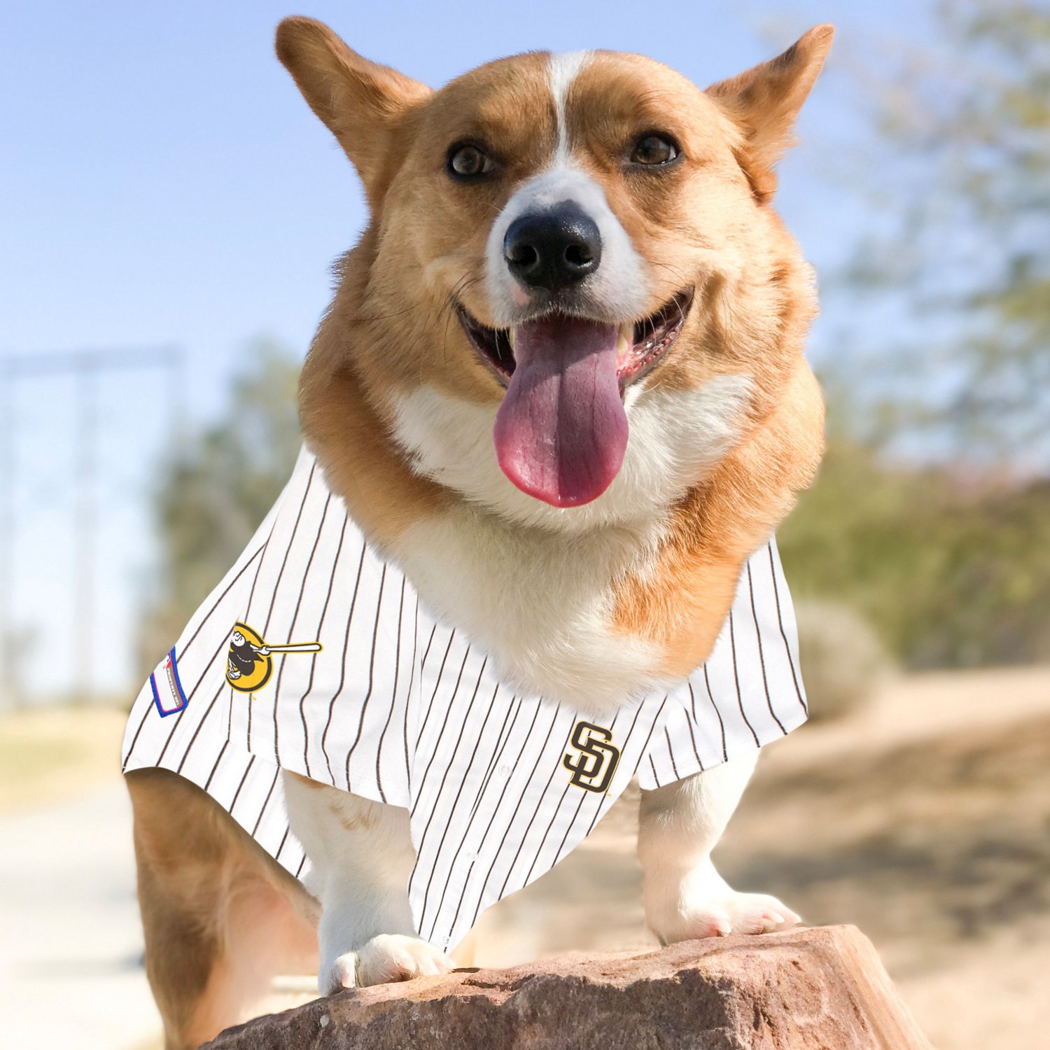 Pets First Cotton & Polyester Mesh Striped San Diego Padres Dog & Cat Jersey,  White, XS 