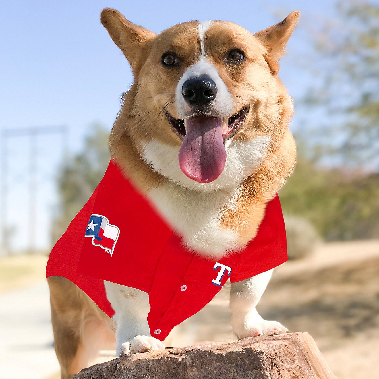 Pets First Texas Rangers Mesh Dog Jersey                                                                                         - view number 3