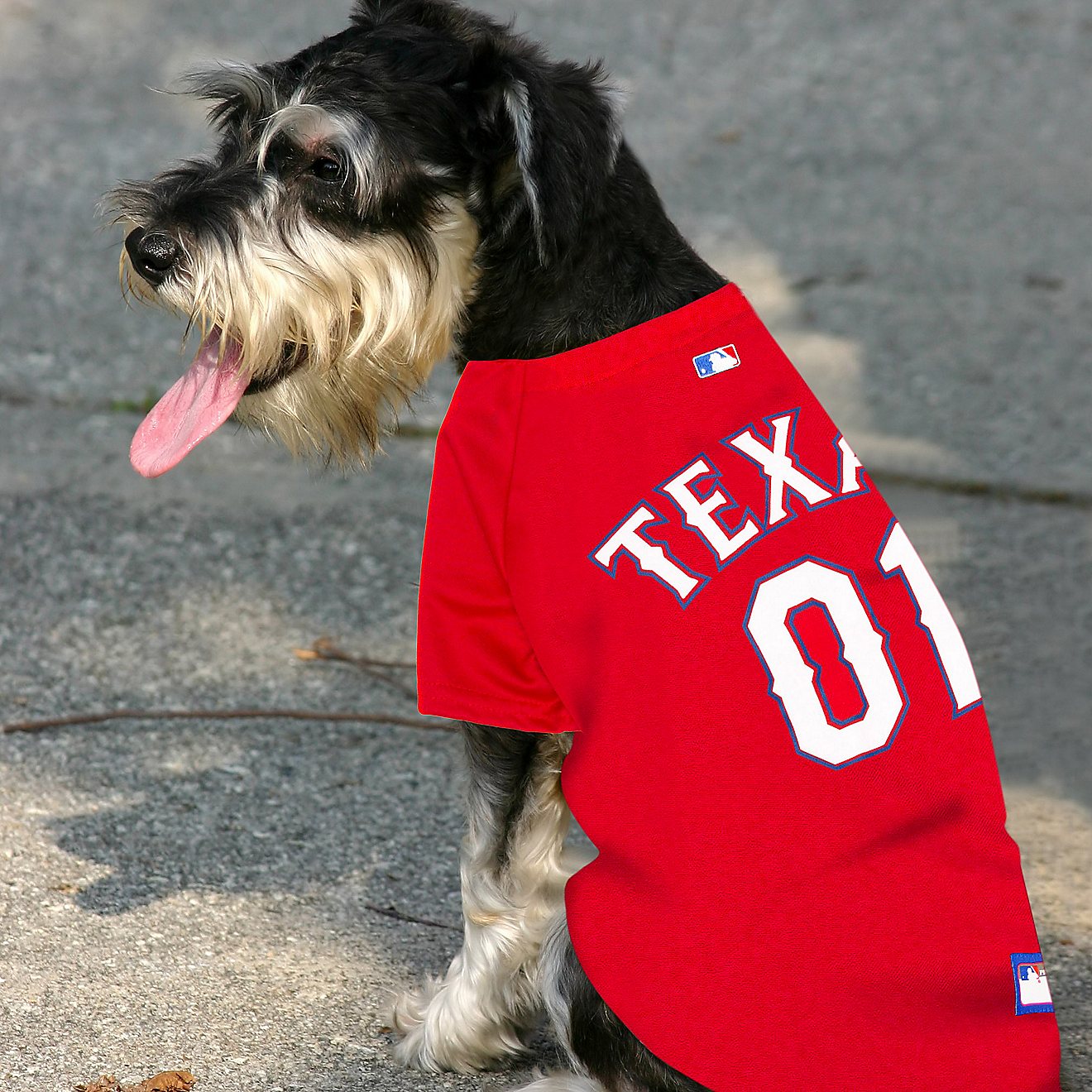 Pets First Texas Rangers Mesh Dog Jersey                                                                                         - view number 4