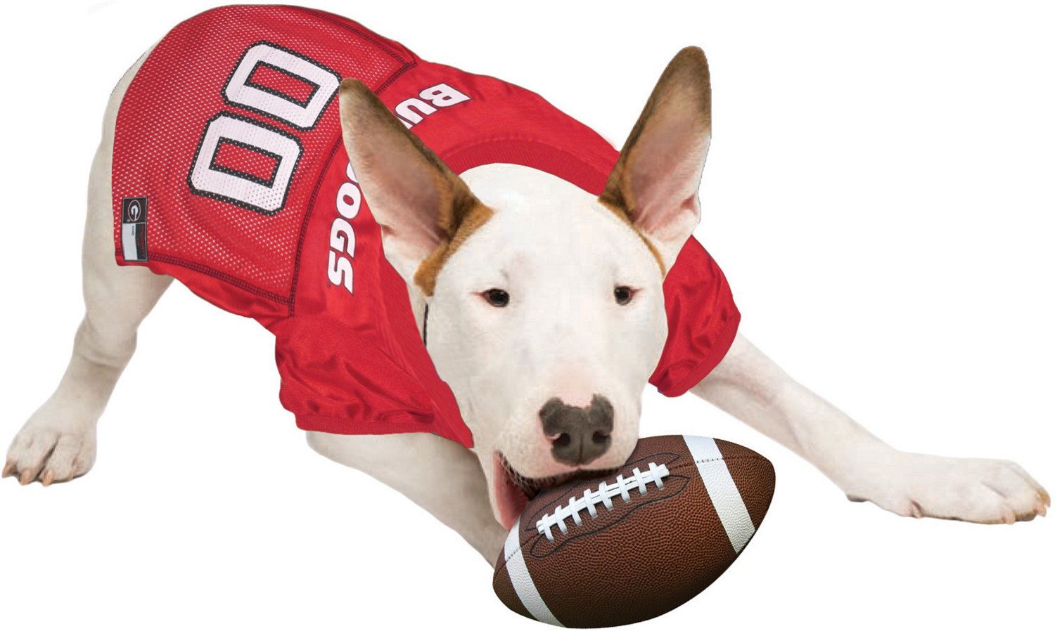 Pets First University of Mesh Dog Jersey Academy