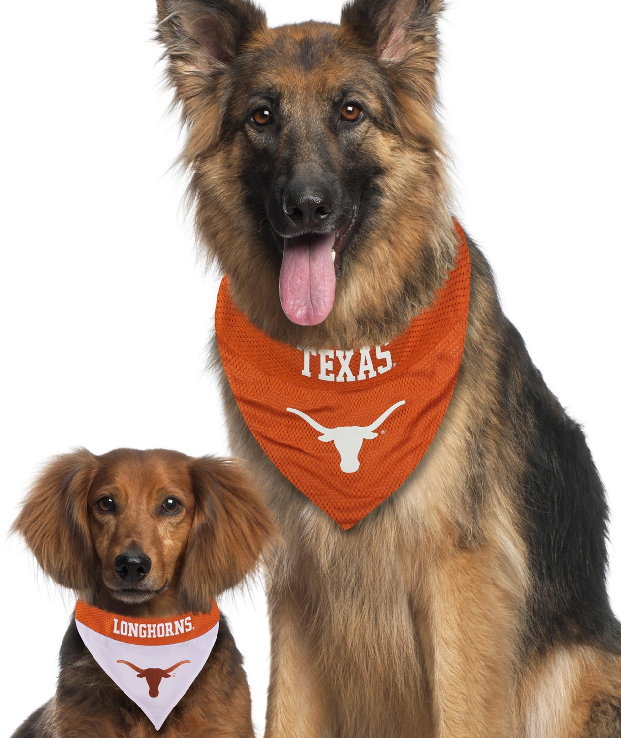 Pets First University of Texas Reversible Dog Bandana - view number 5