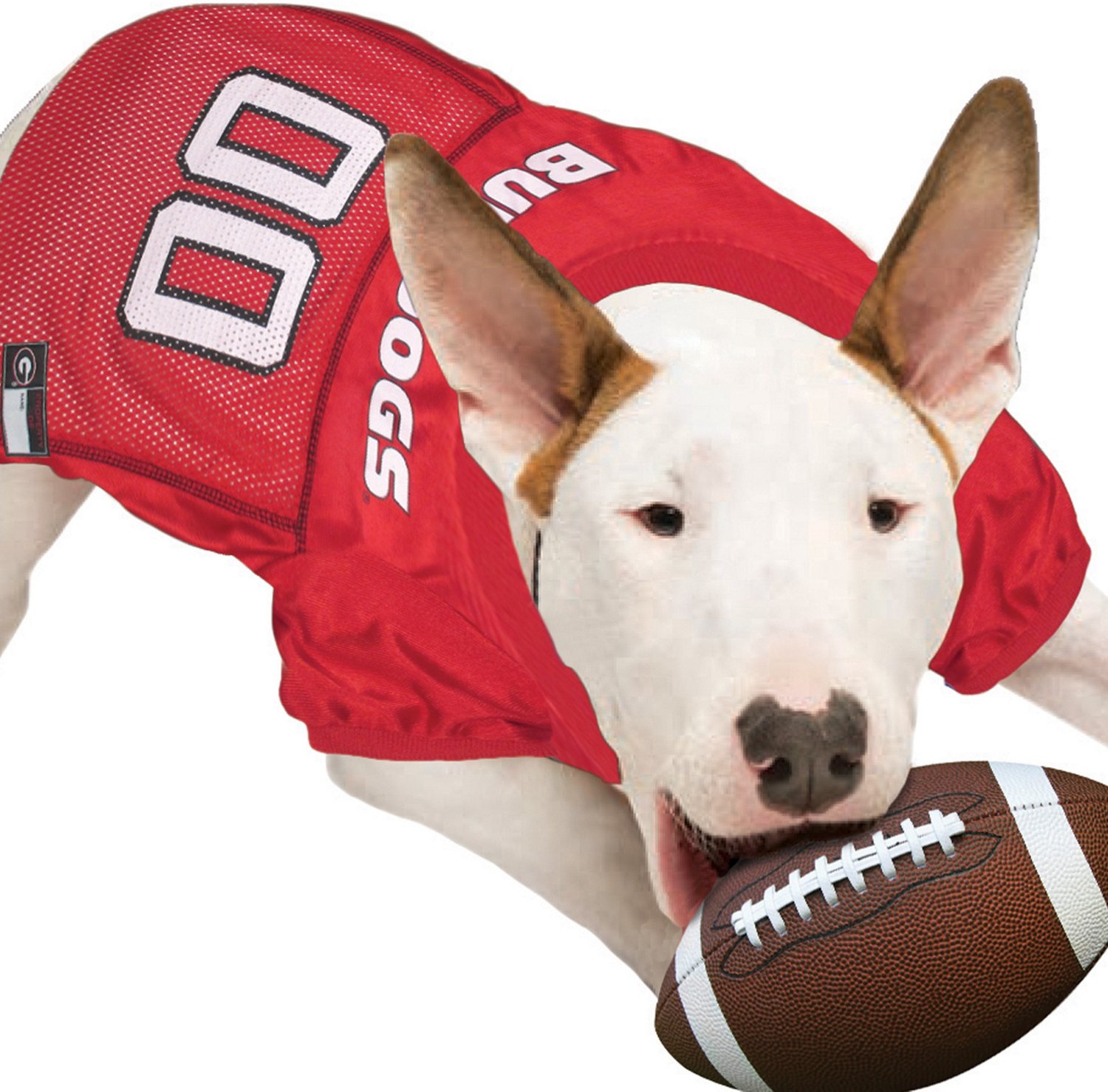 Doggie chiefs jersey(