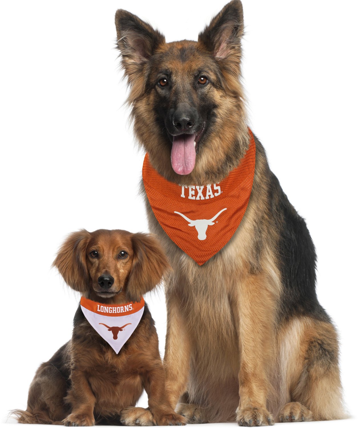 Pets First University of Texas Reversible Dog Bandana - view number 4