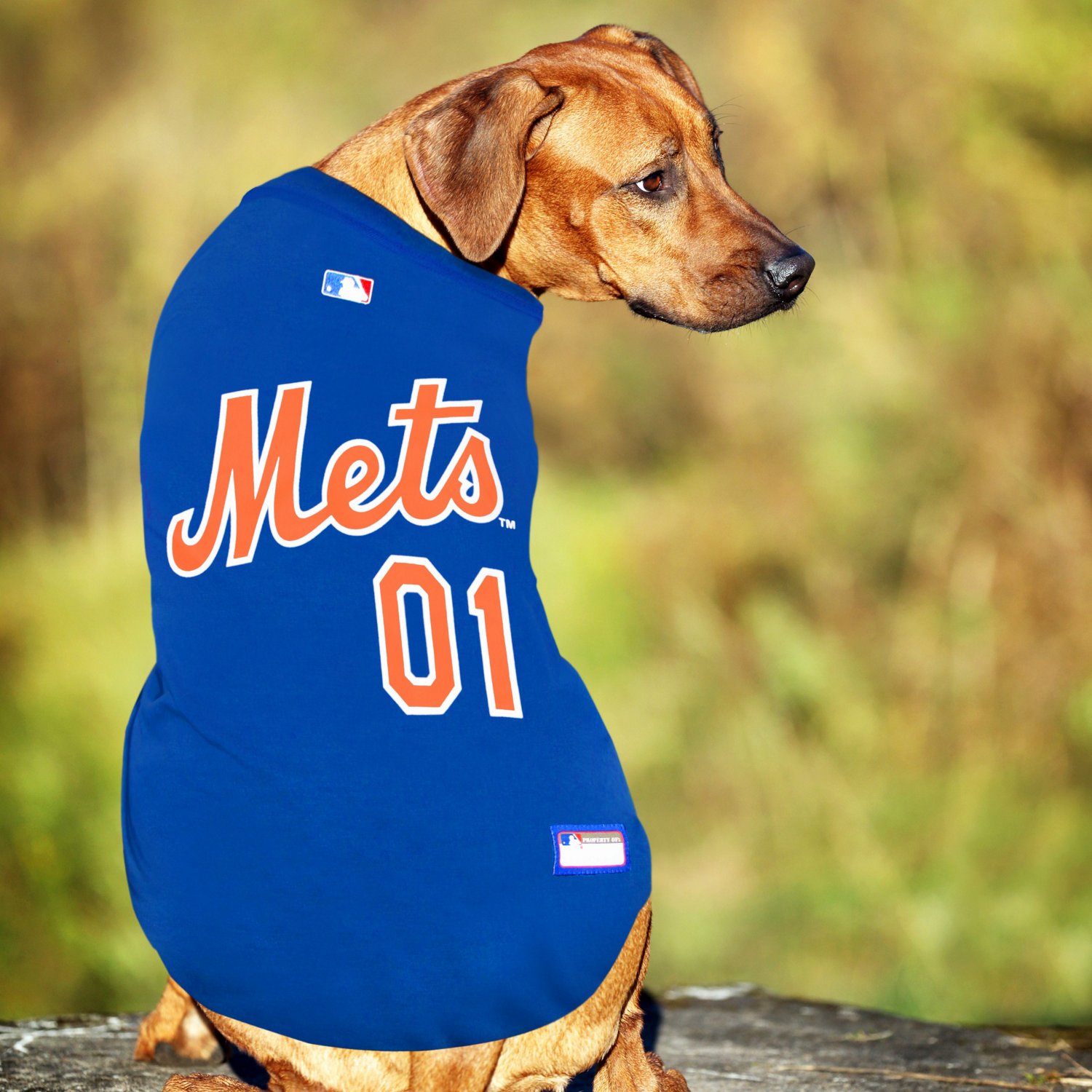Pets First MLB New York Mets Camouflage Jersey For Dogs, Pet Shirt
