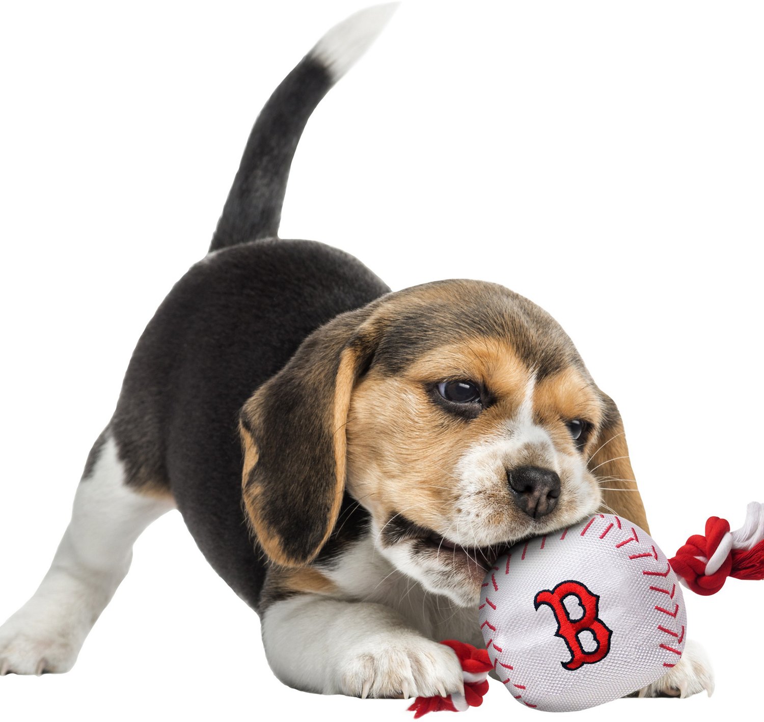 Pets First Boston Red Sox Nylon Baseball Rope Dog Toy - view number 2