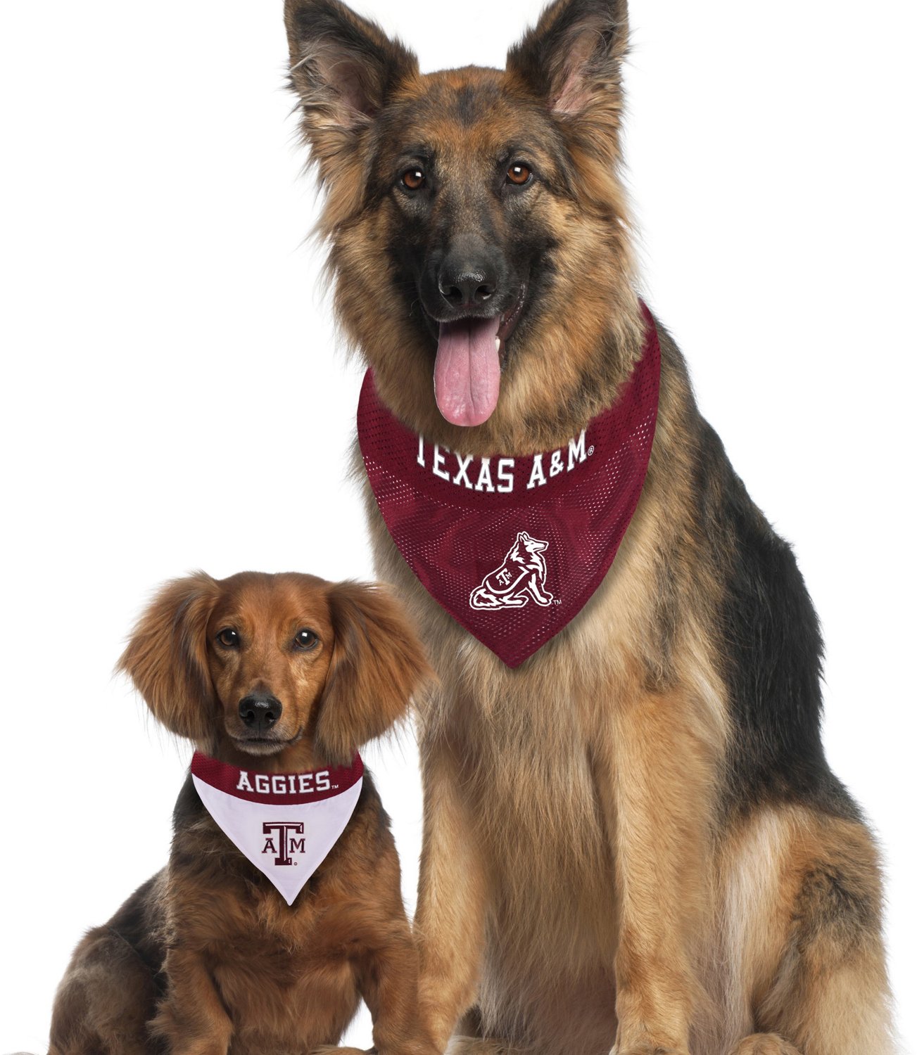 Dallas Cowboys Reversible Dog Bandana 