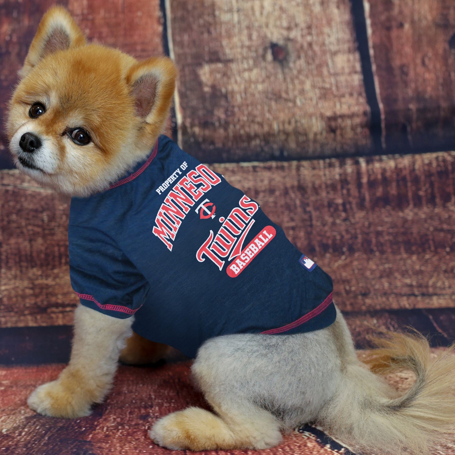 mn twins dog jersey