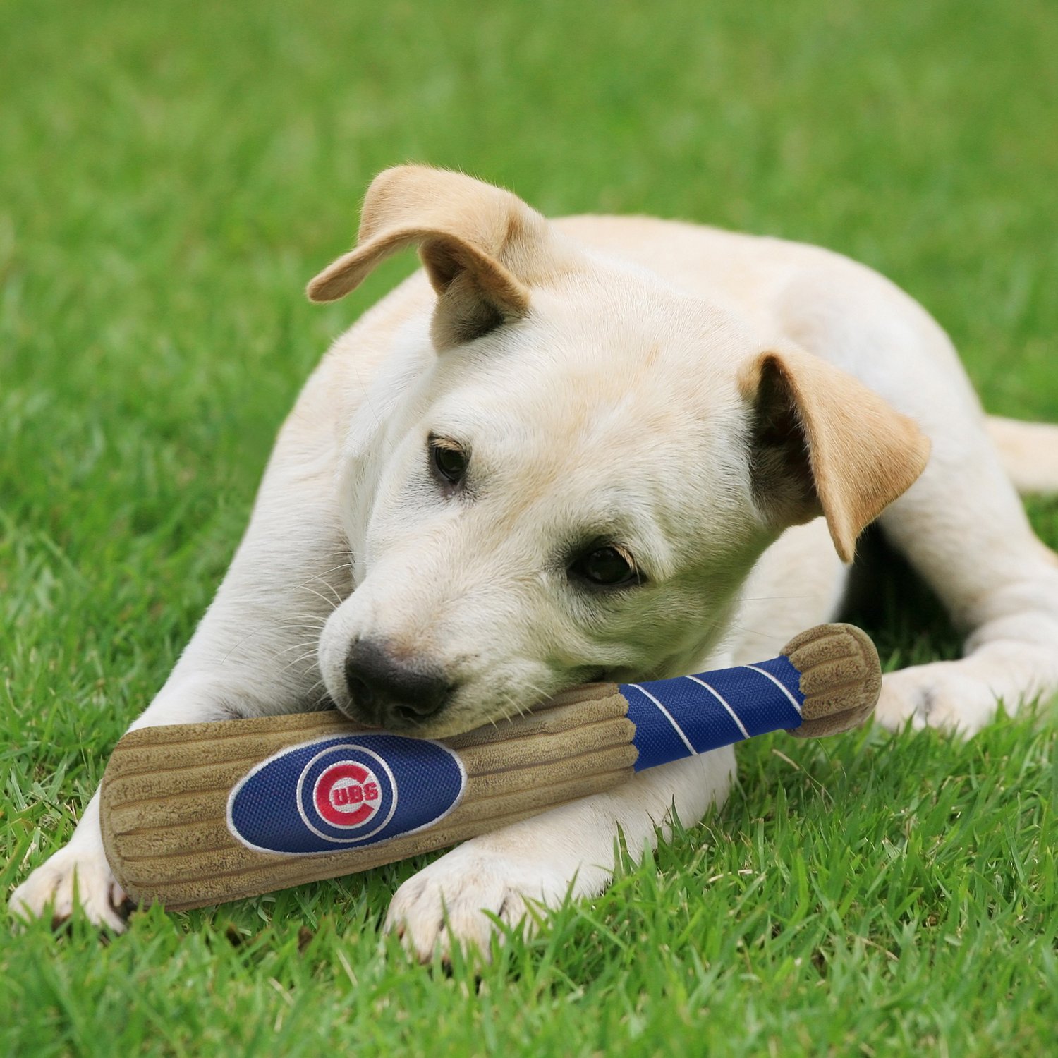 Pets First Chicago Cubs Baseball Bat Dog Toy Academy