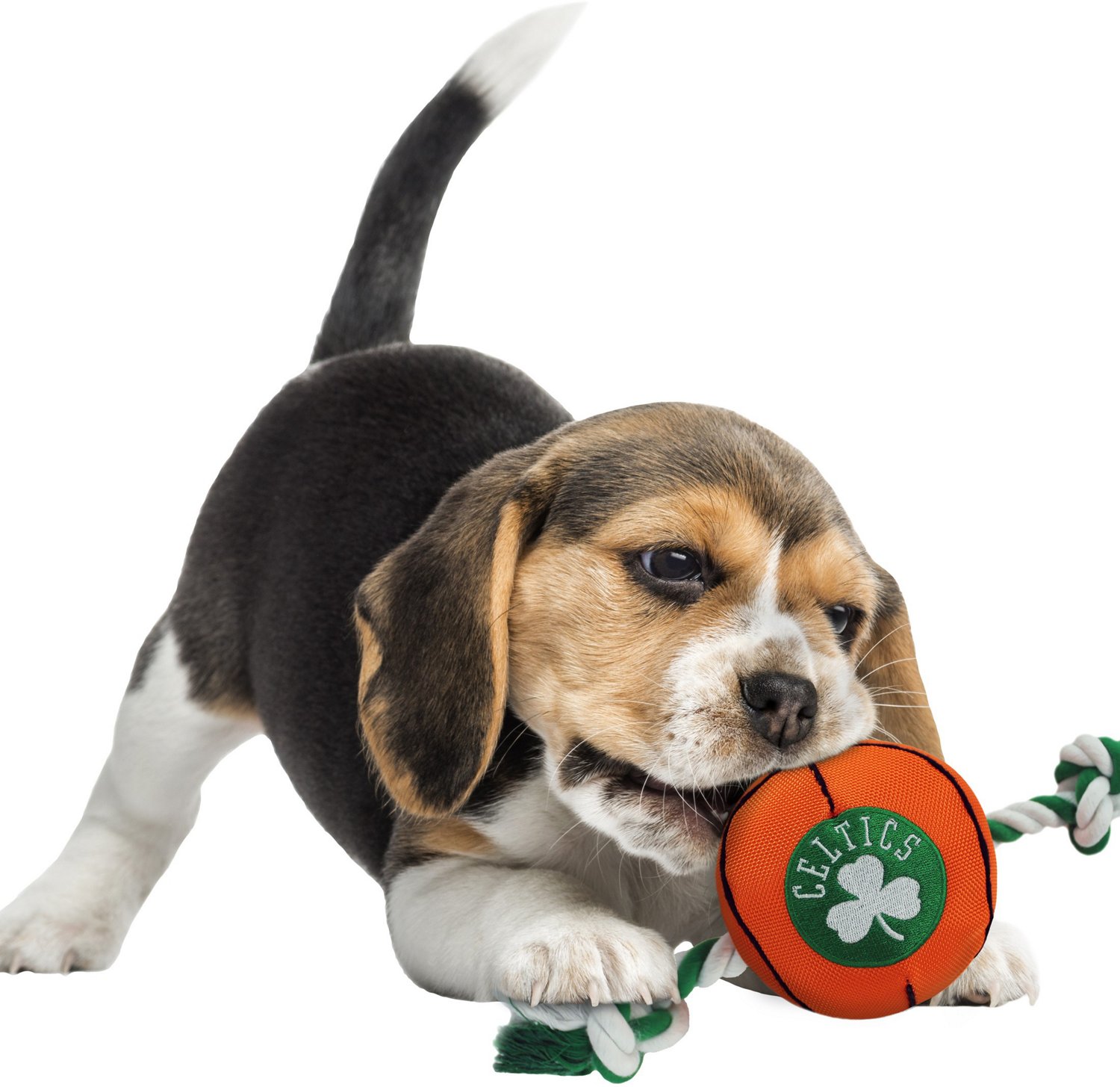 Pets First Boston Celtics Nylon Basketball Rope Dog Toy | Academy