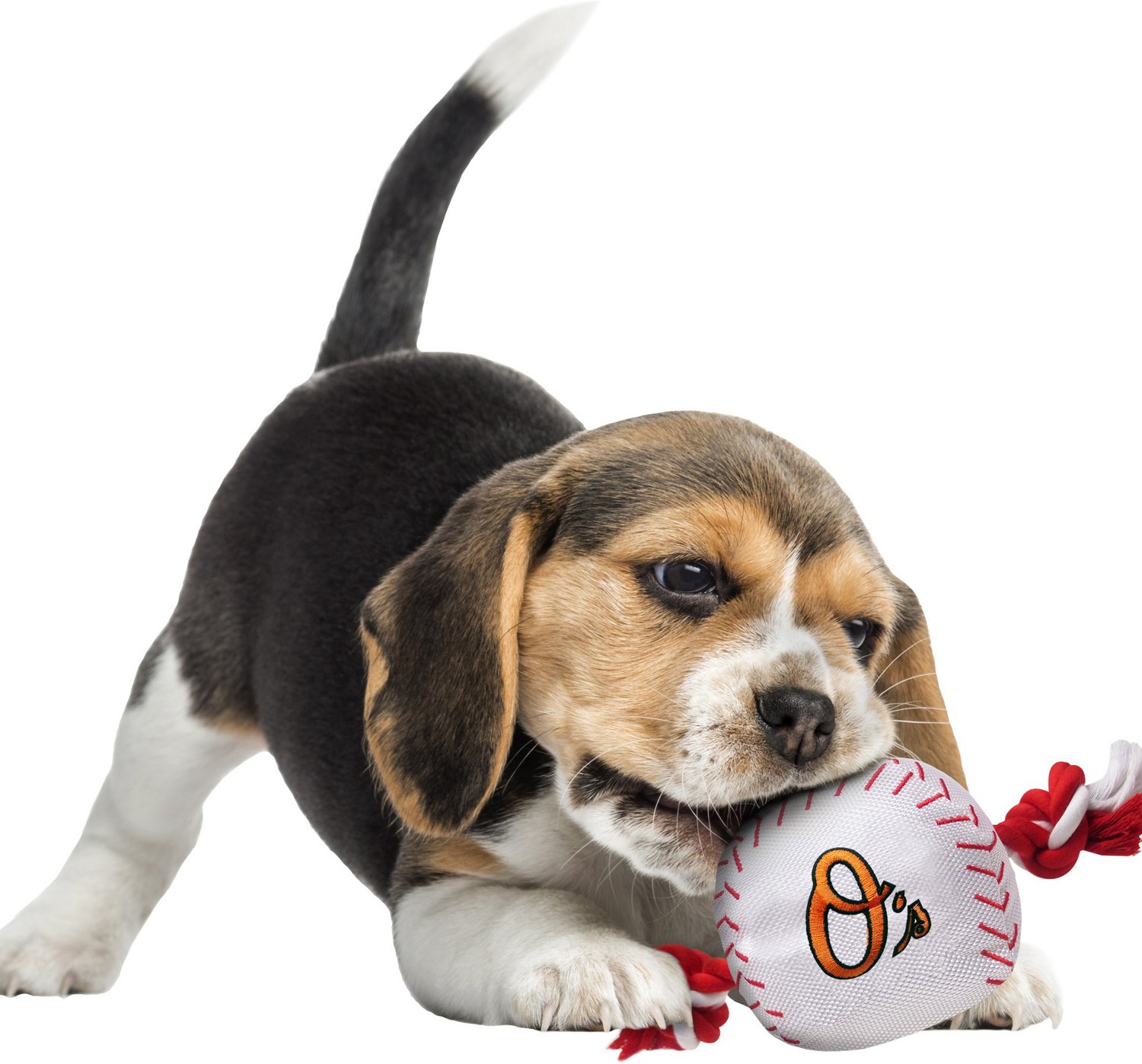 Pets First Baltimore Orioles Nylon Baseball Rope Dog Toy | Academy
