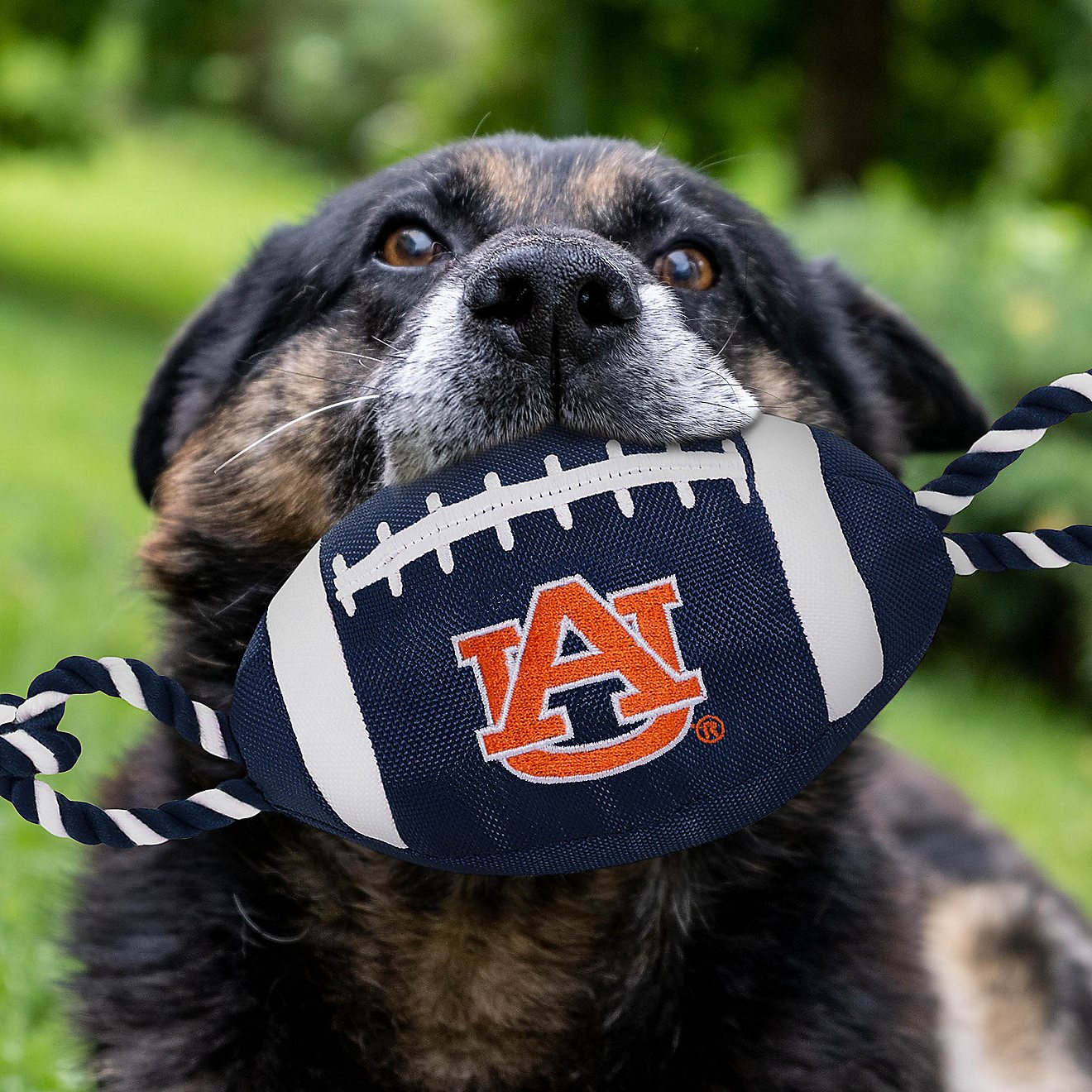Pets First Auburn University Nylon Football Rope Toy                                                                             - view number 2