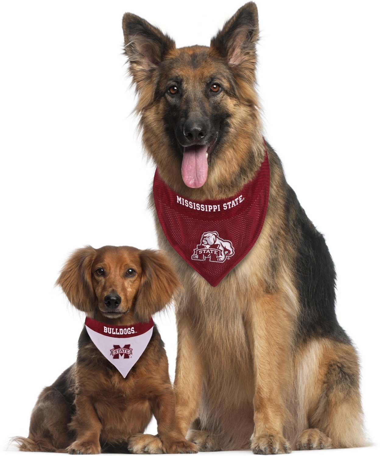 Msu dog hot sale bandana