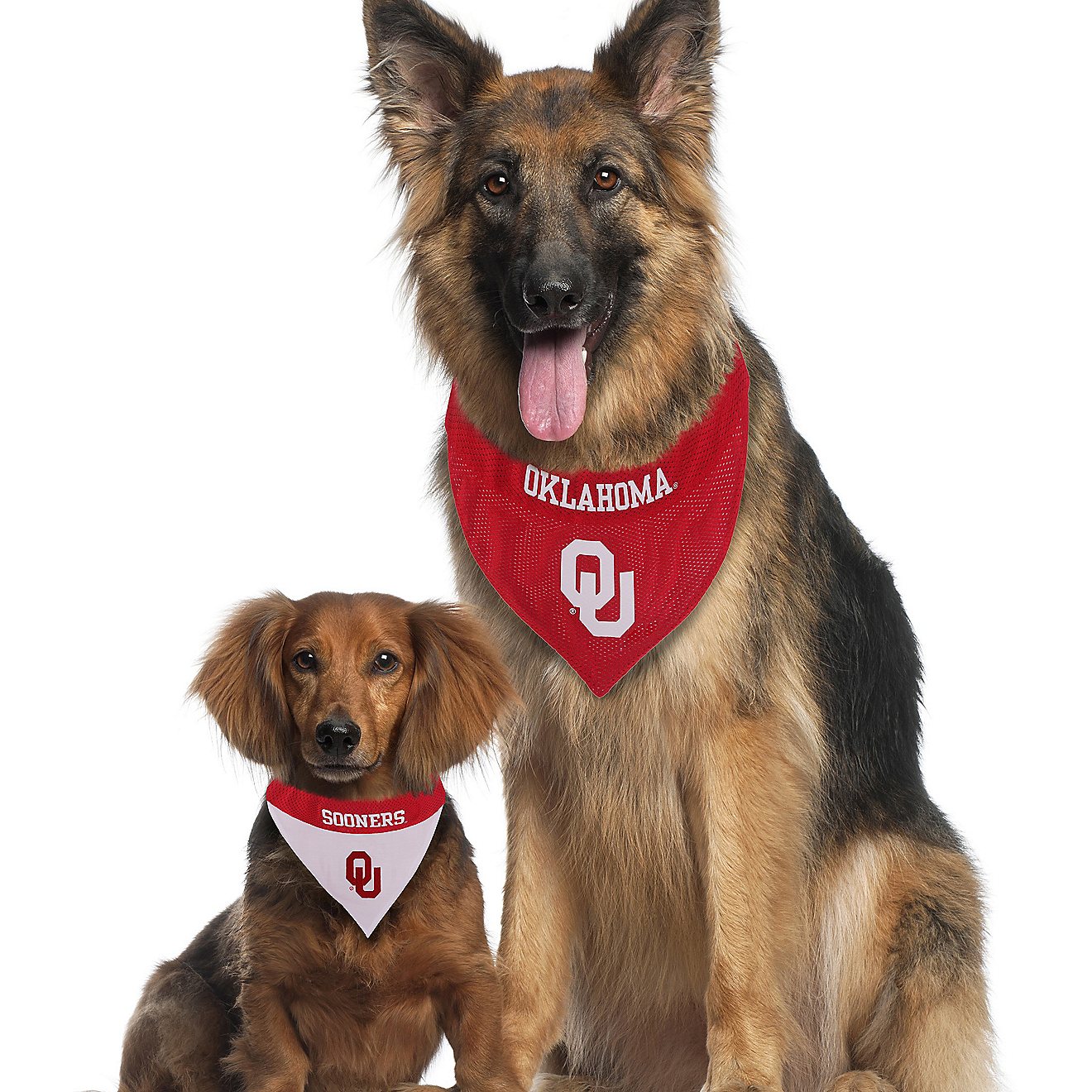 Small University of Oklahoma Sooners Dog Bandana 