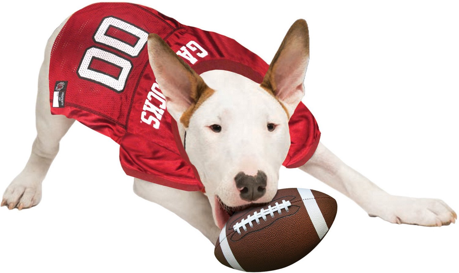 Pets First University of South Carolina Mesh Dog Jersey - view number 3
