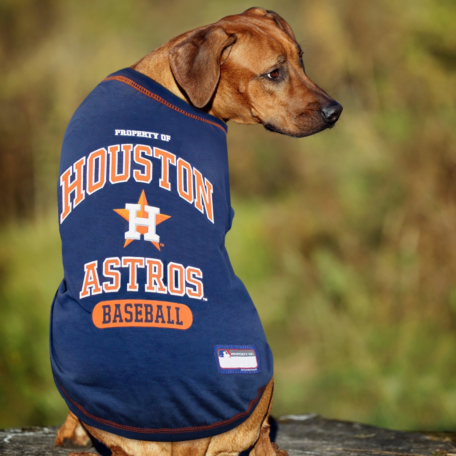  Pets First MLB Houston Astros Reversible T-Shirt,Medium for  Dogs & Cats. A Pet Shirt with The Team Logo That Comes with 2 Designs;  Stripe Tee Shirt on one Side,Team Color,AST-4158-MD 