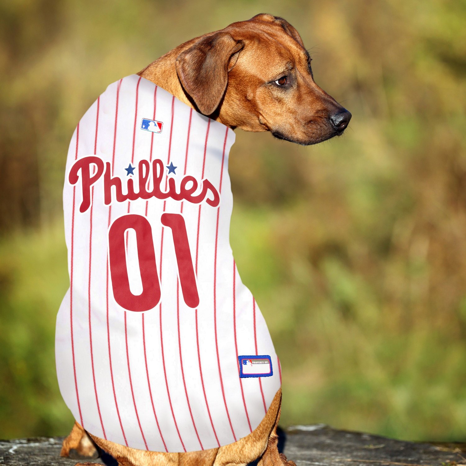 Mlb Philadelphia Phillies Pet Pets First Pet Baseball Jersey