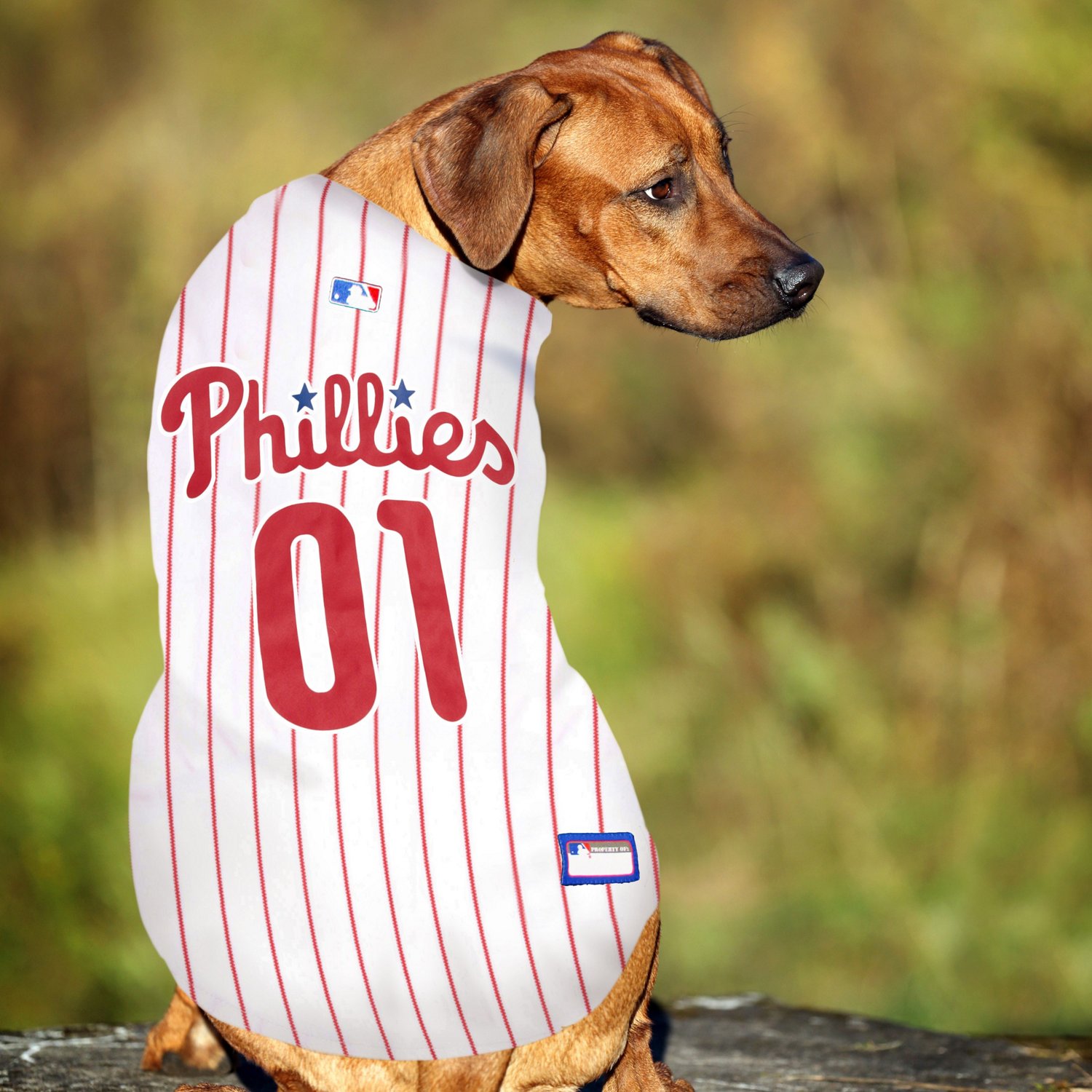 Pets First Philadelphia Phillies Mesh Dog Jersey - view number 4