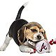 Pets First Atlanta Braves Baseball Rope Dog Toy                                                                                  - view number 2