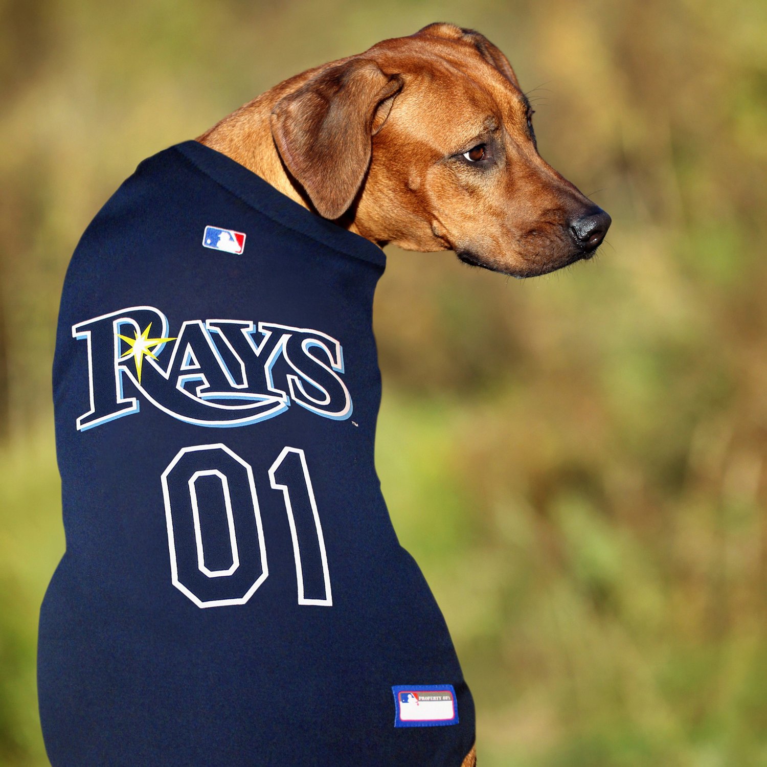 Pets First Tampa Bay Rays Mesh Dog Jersey Academy