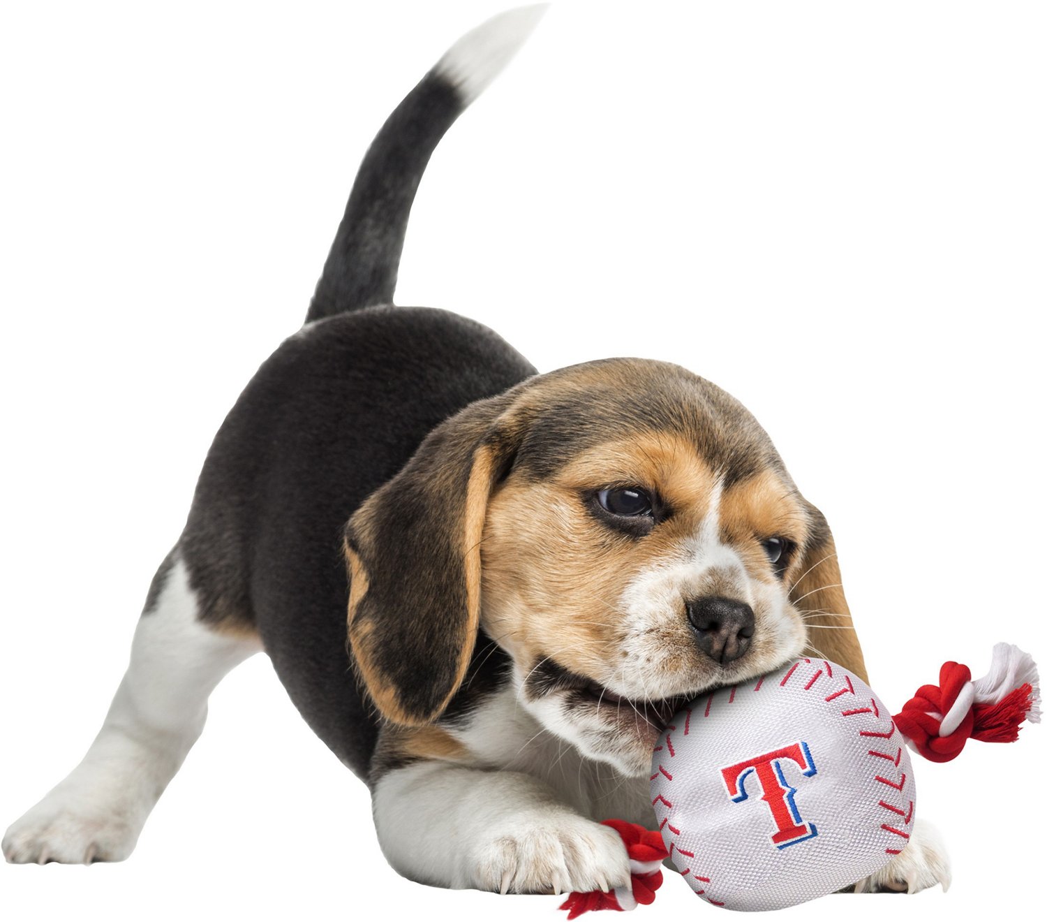 Pets First Texas Rangers Nylon Baseball Rope Dog Toy - view number 2