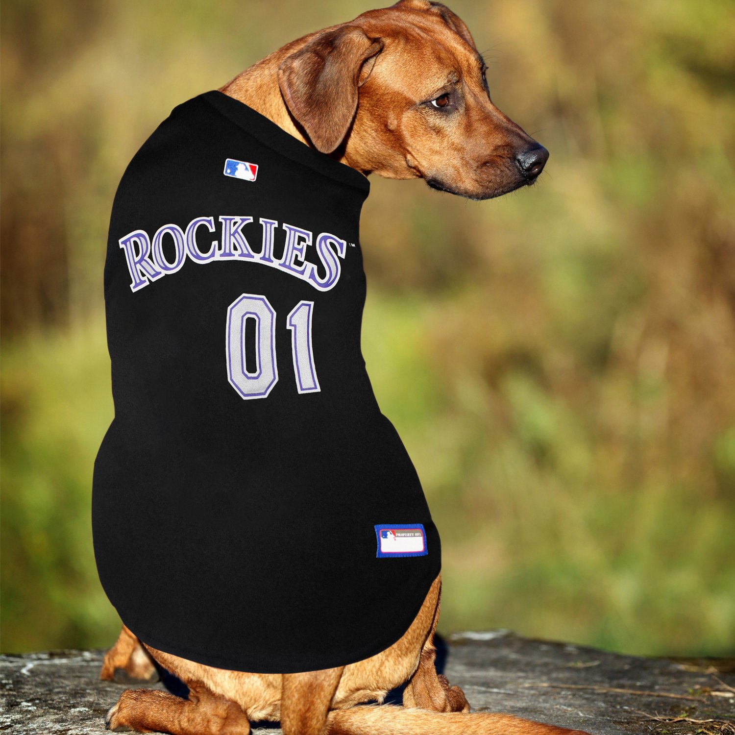 rockies dog jersey