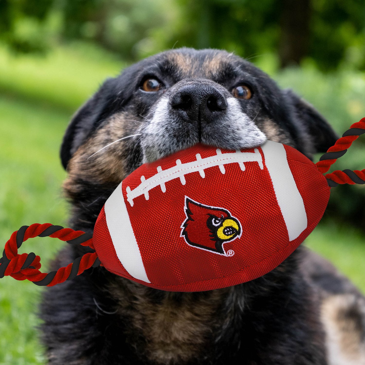 Pet Goods Louisville Cardinals Football with Rope Toy