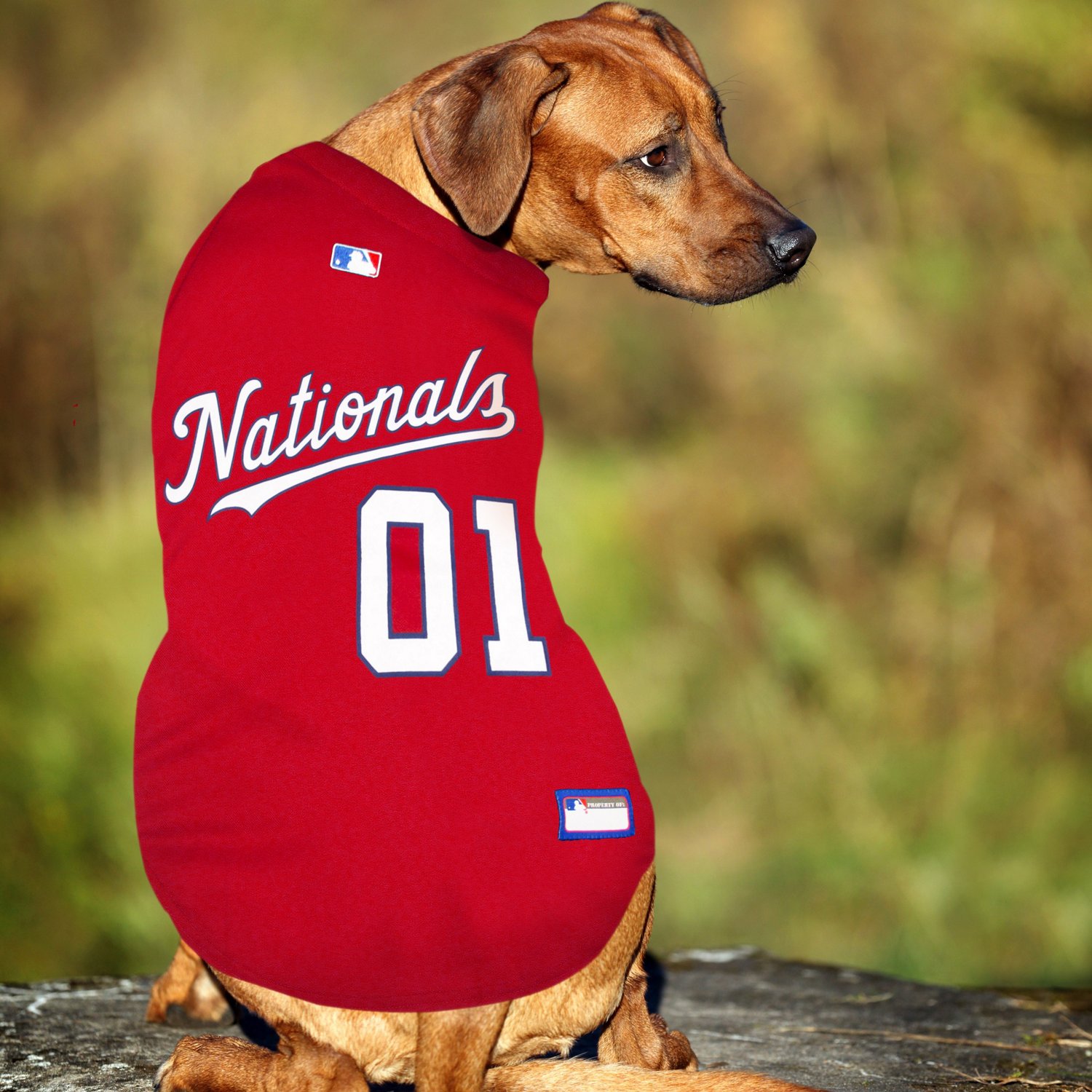 Pets First Washington Nationals Mesh Dog Jersey  - view number 3