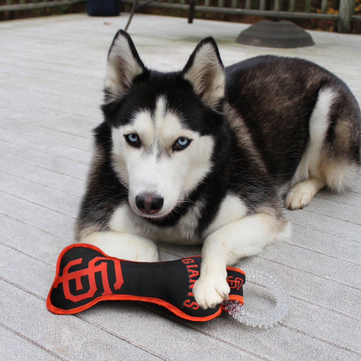 Pets First San Francisco Giants Dental Tug Dog Toy - view number 2